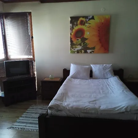 Private In St.ivan And * Bansko