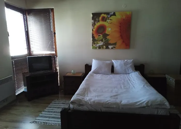 Private In St.ivan And * Bansko